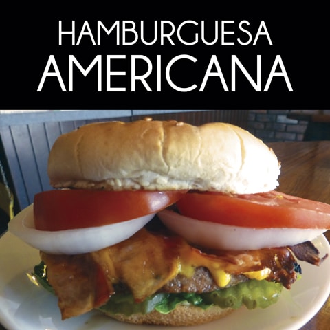 Hamburguesas y Hot Dogs 10 Hamburguesas y Hot Dogs 10