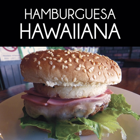 Hamburguesas y Hot Dogs 9 Hamburguesas y Hot Dogs 9